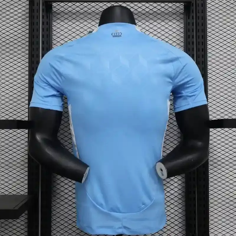 Belgium Authentic Soccer Jersey Away Shirt EURO 2024