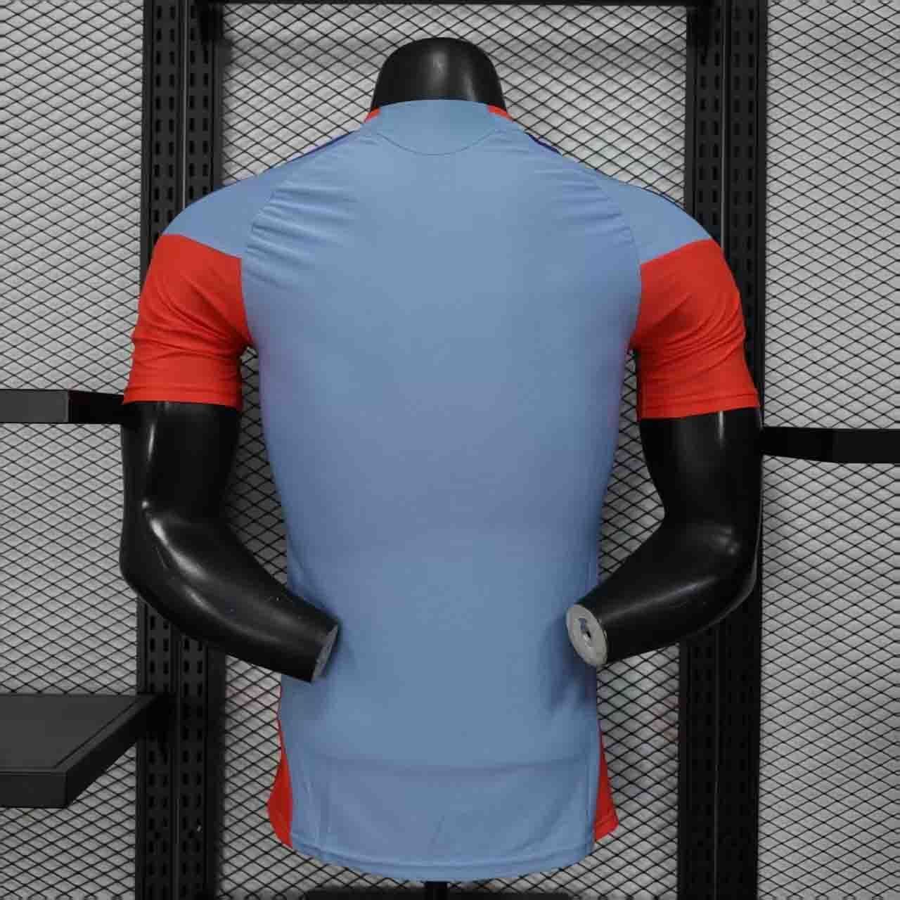 Japan Authentic Soccer Jersey Special Edition Shirt World Cup 2026