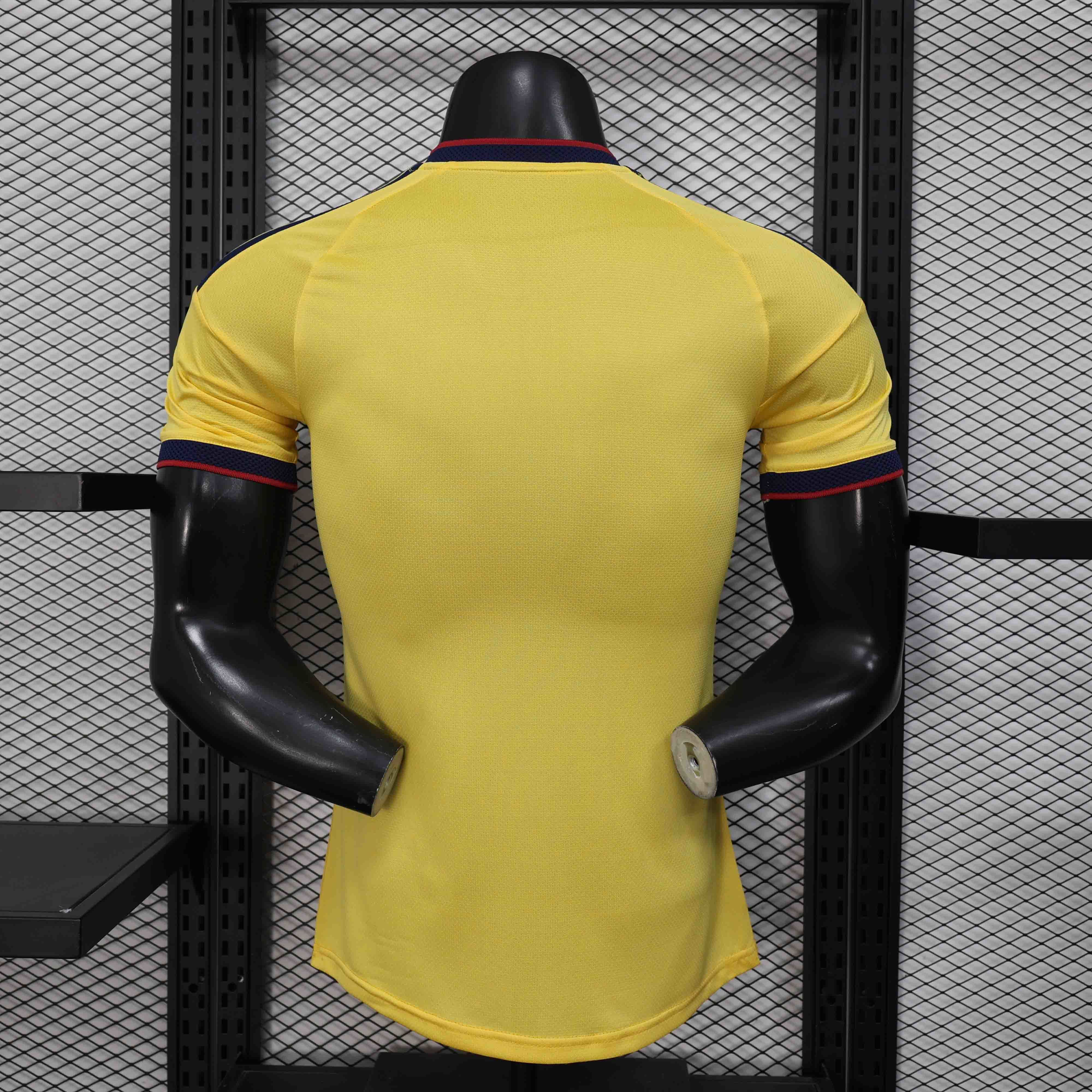 Colombia Authentic Soccer Jersey Spercial Edition Shirt World Cup 2026