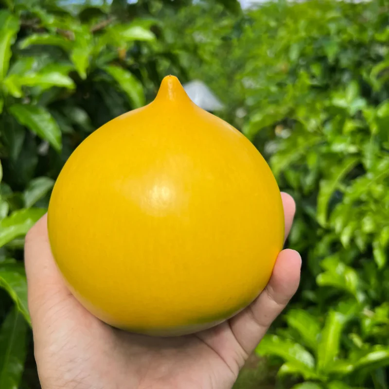 Golden Fruit Seeds
