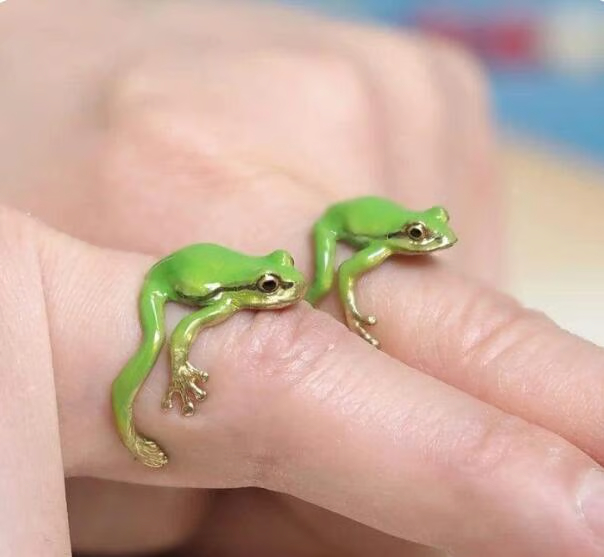 🐸Tree Frog Ring & Earrings
