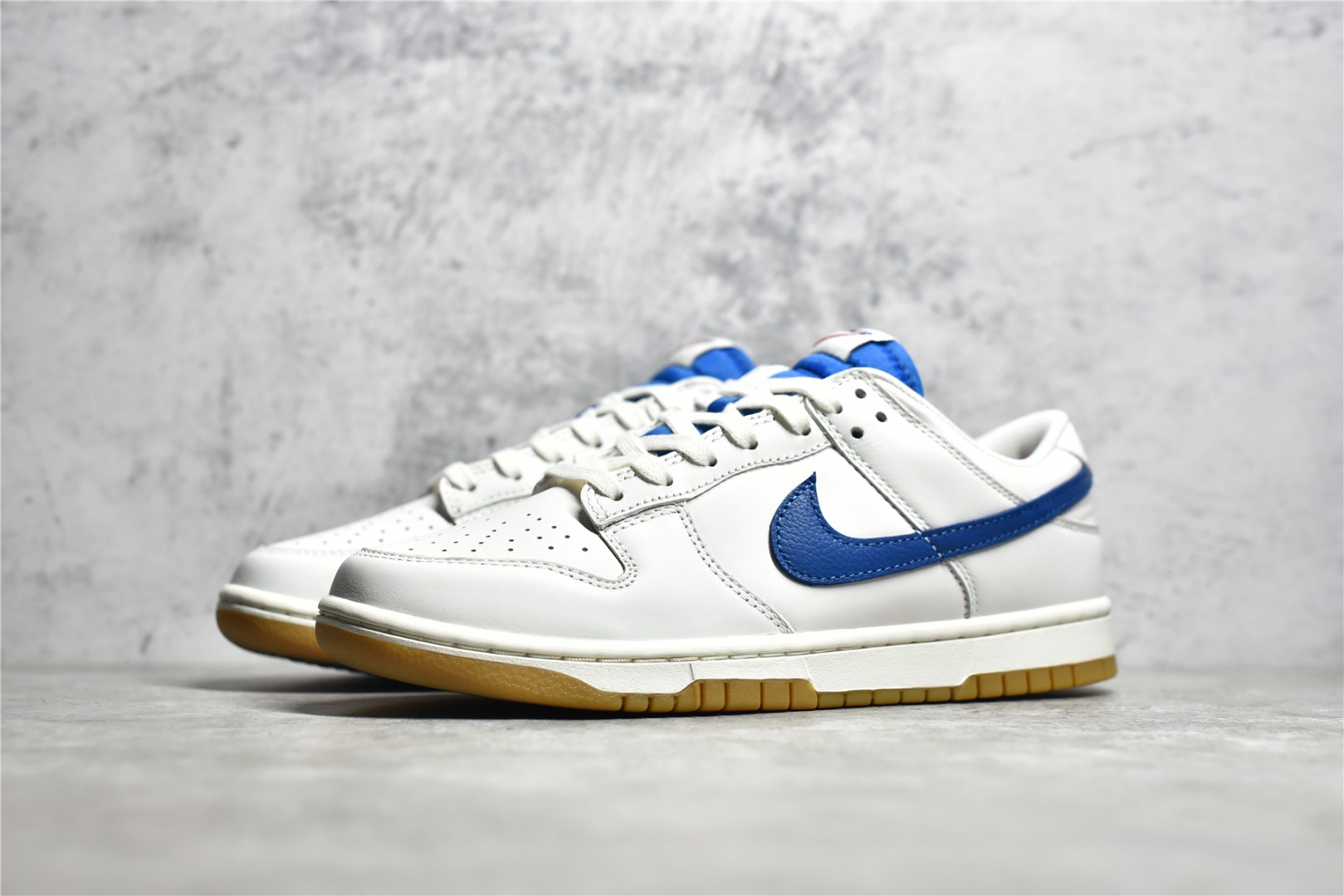 NIKE DUNK LOW DX3198-133