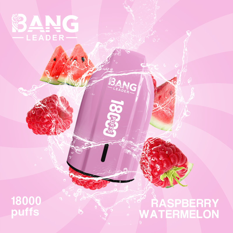 Bang Leader 18K Puffs Prefilled Vape |  Rechargeable