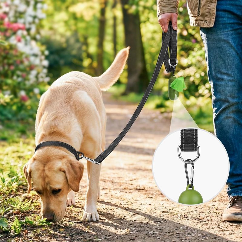 Dog Leash, 6 FT Double-Sided Reflective, Padded Handle Nylon