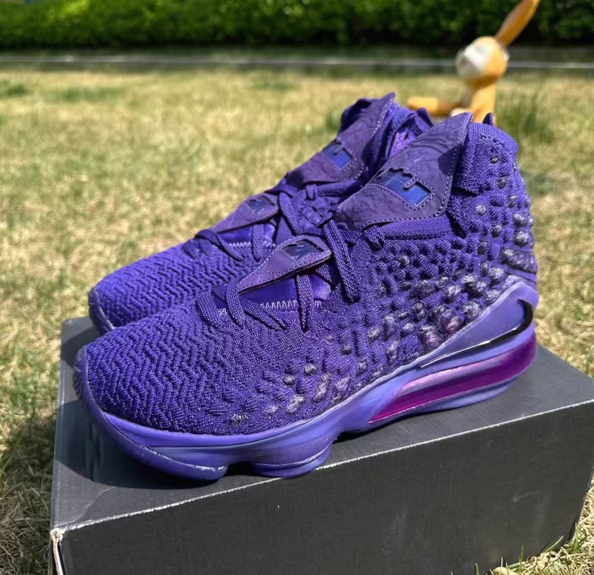 Nike LeBron 17 