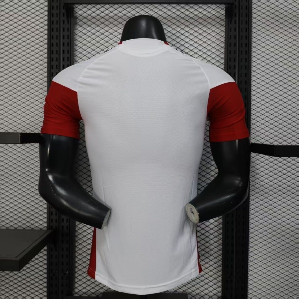 Germany Authentic Soccer Jersey Training Shirt World Cup 2026
