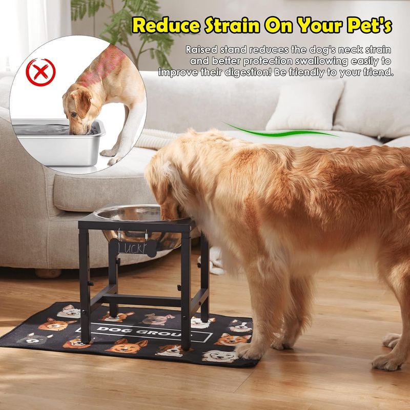 1.32 Gallon Elevated Dog Water Bowl for Large Dogs