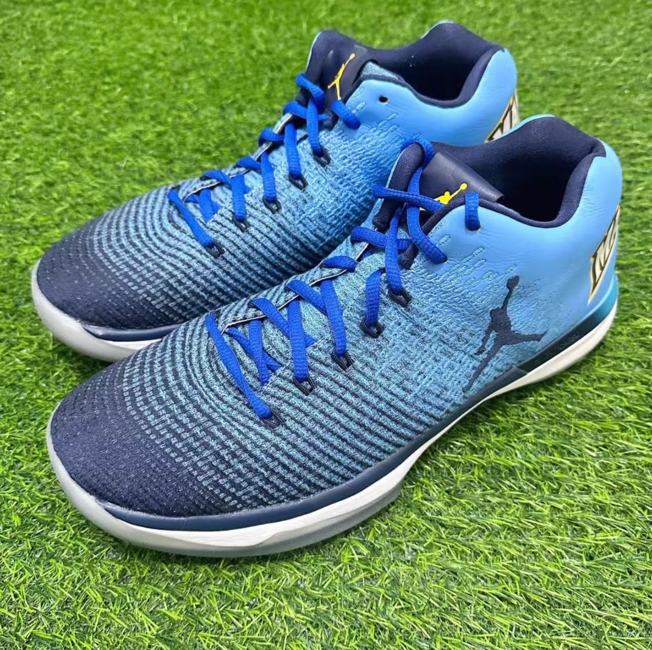 Air Jordan XXXI Low 
