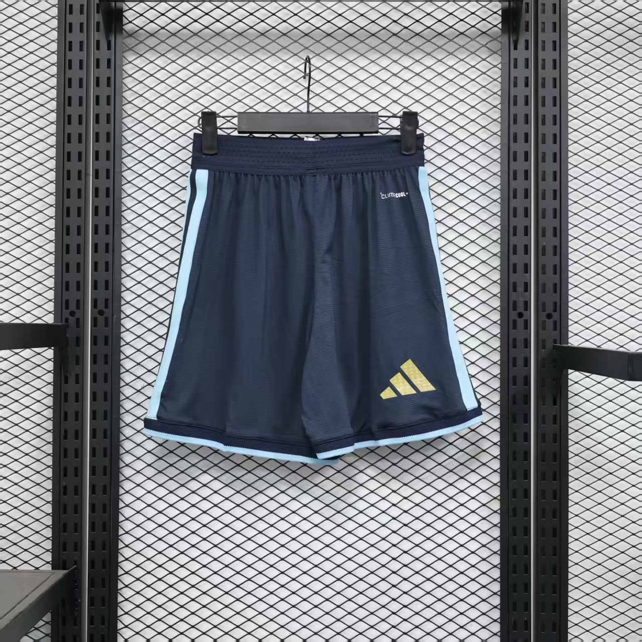 World Cup 2026 Argentina Home Shorts White Player Version