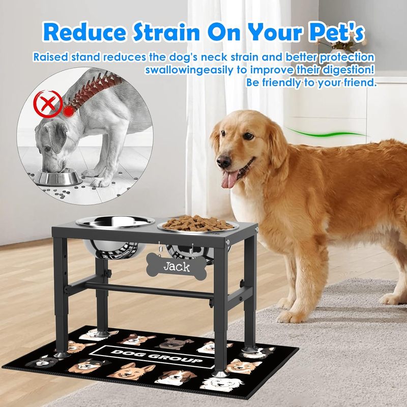 Elevated Dog Bowls with Mat for Medium and Large Dogs
