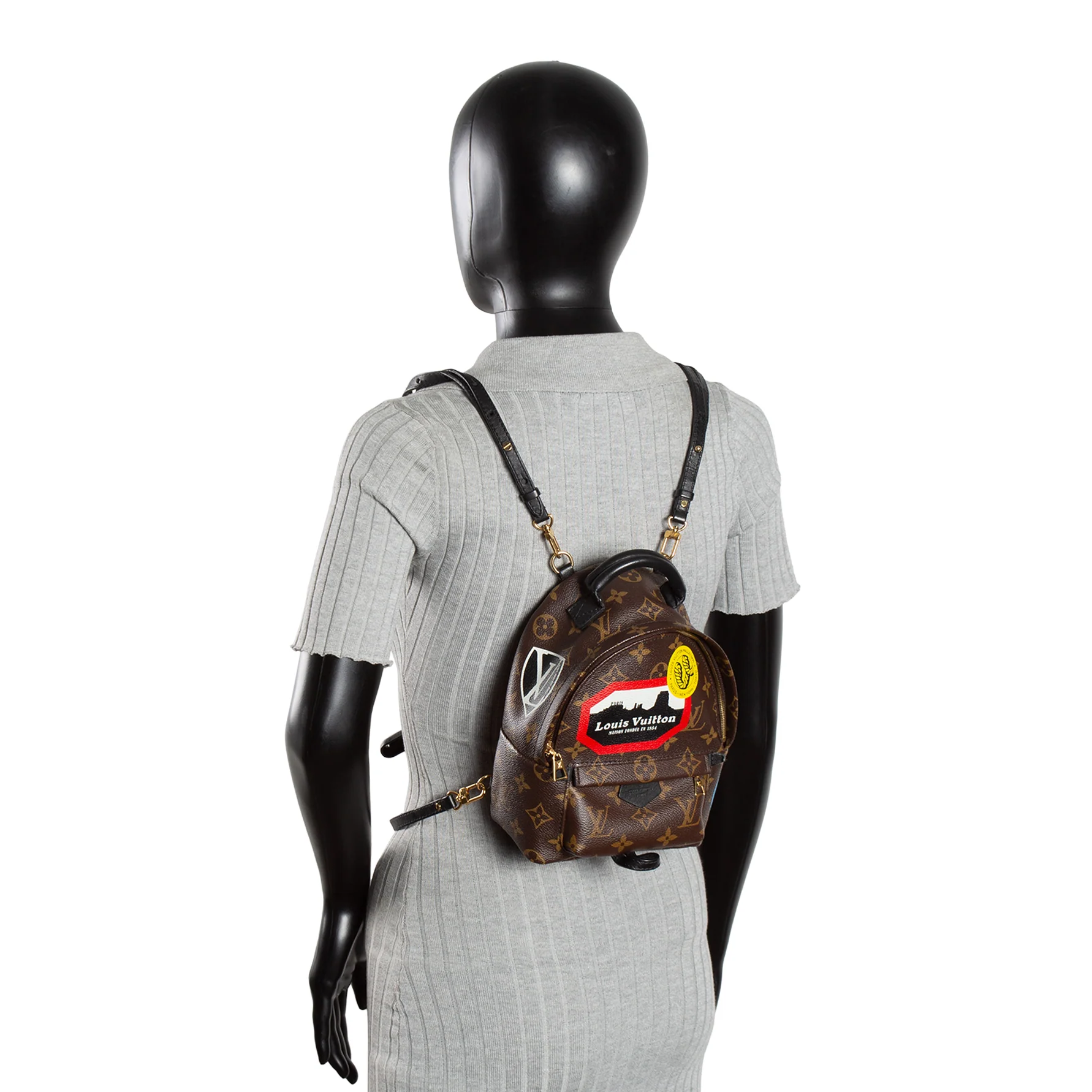 LOUIS VUITTON Palm Springs Mini World Tour Backpack