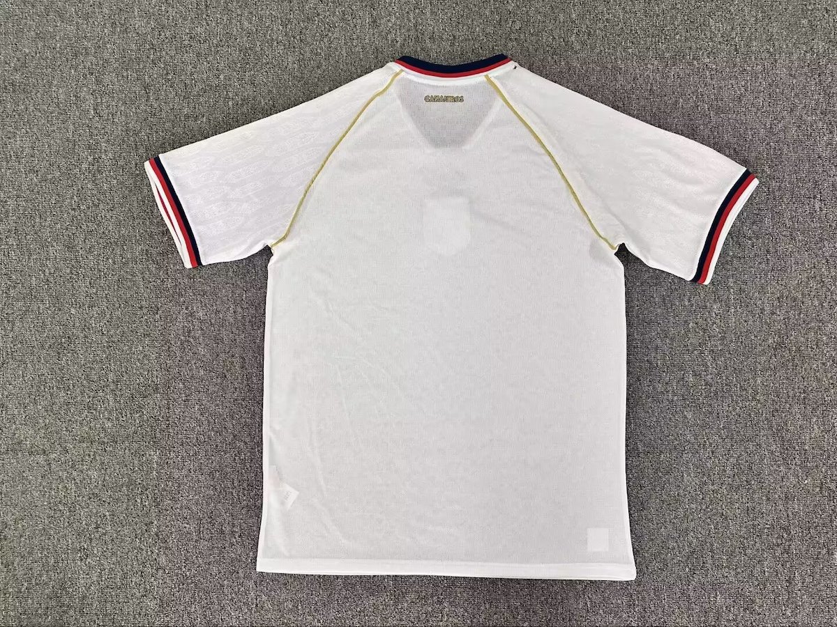 World Cup 2026 Panama Away Shirt  Soccer Jersey - Fan Version
