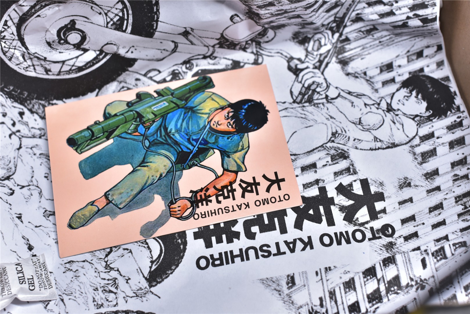 OTOMO KATSUHIRO X NIKE SB DUNK LOW MG3656-038