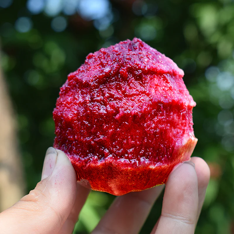 Blood Peach Seeds