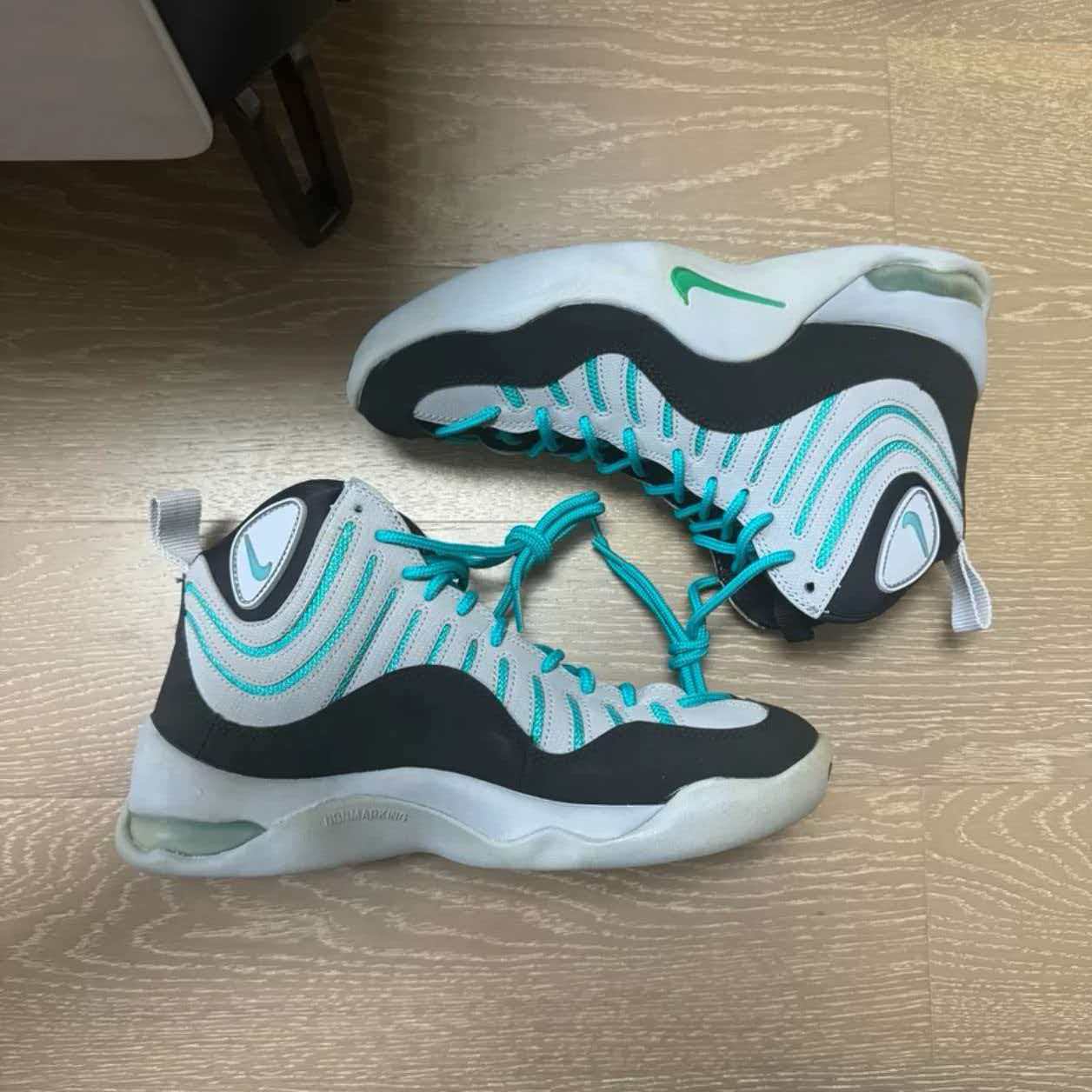 Nike Air Bakin