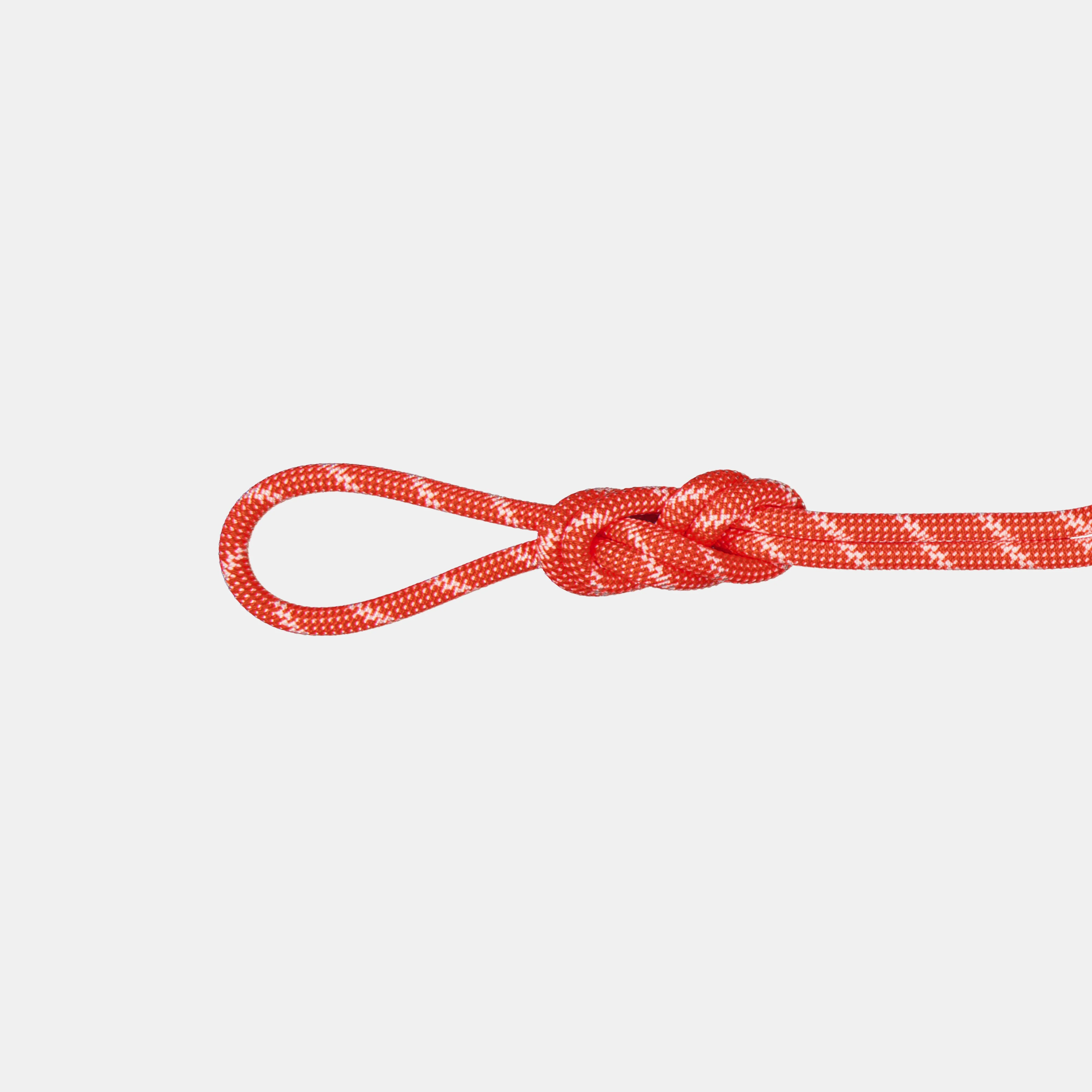 8.0 Alpine Classic Rope