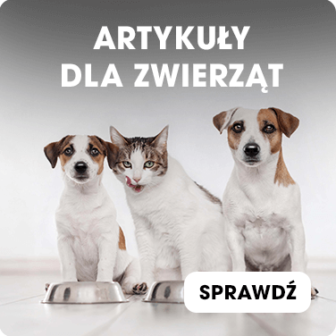 Zwierzęta.