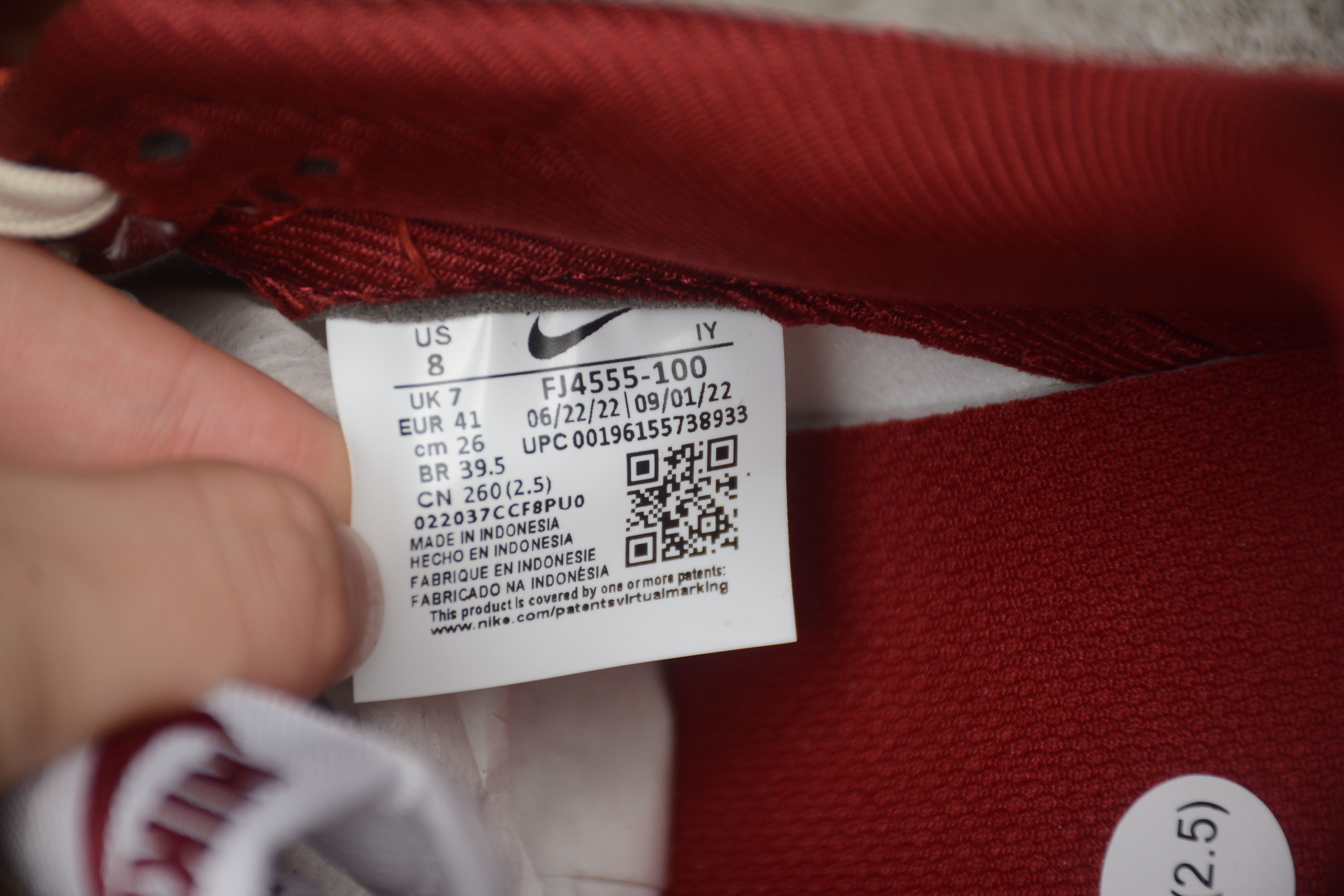 SB Dunk Low PRM Team Red (Women's) (FJ4555-100)