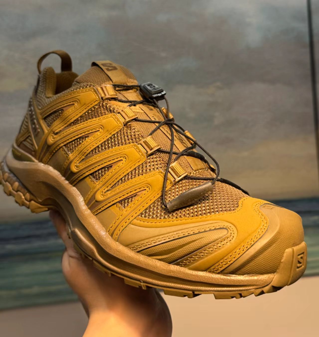 Salomon XA Pro 3D Brown Mesh Hiking Shoes