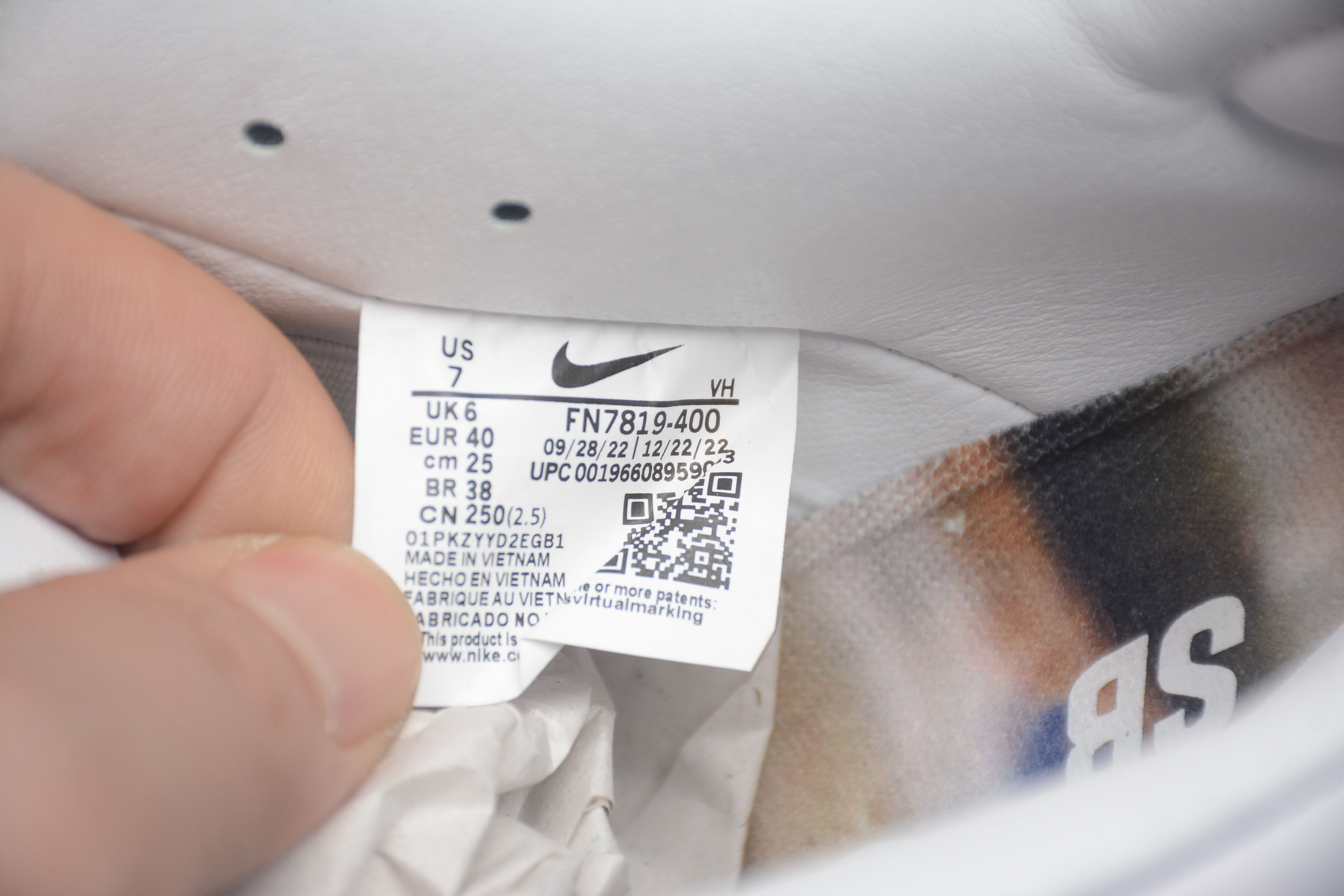 Born x Raised Nike SB Dunk Low FN7819-400