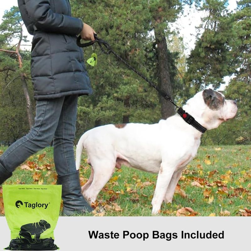 Dog Leash for Medium Large Dogs, 6 FT Padded Handle, Black