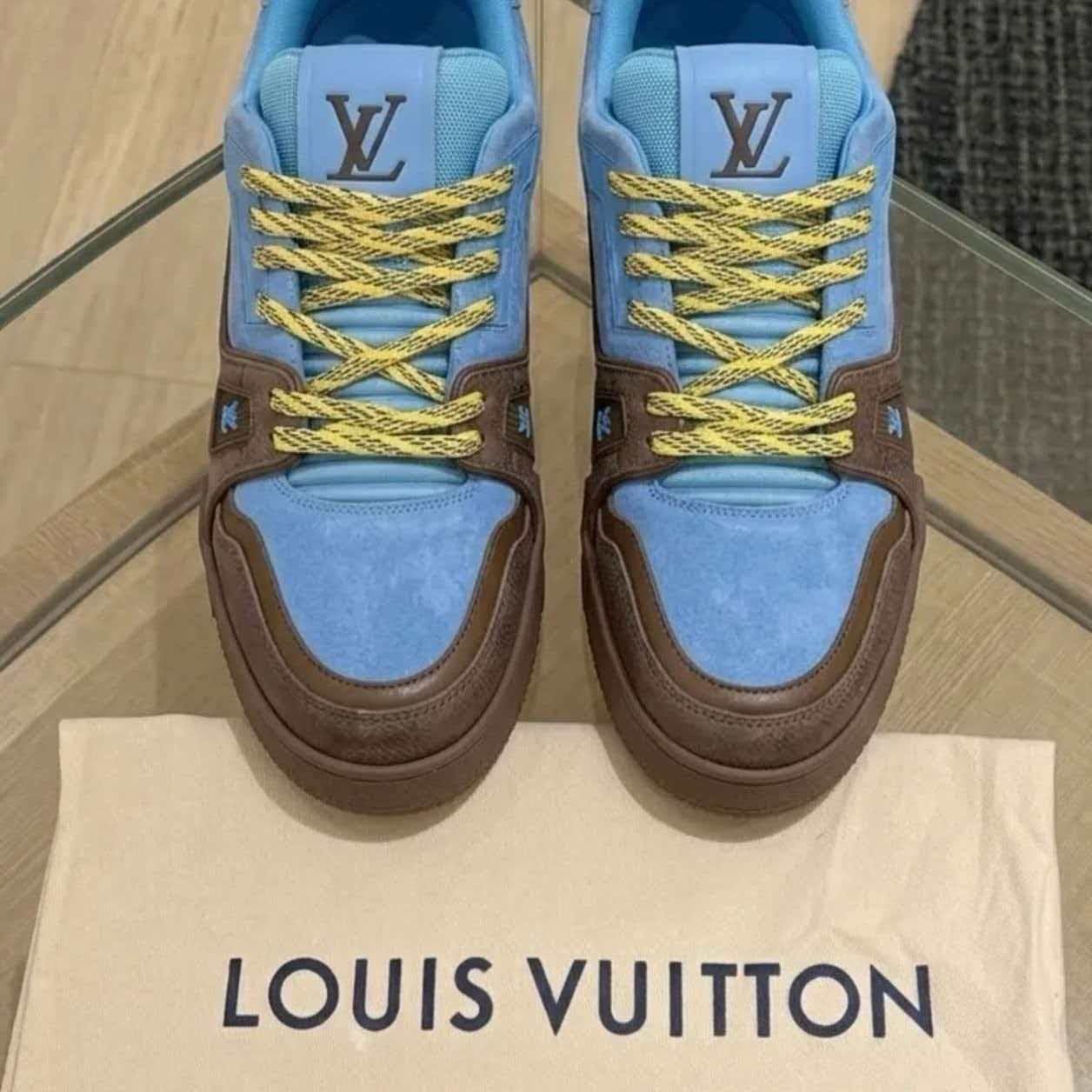 LV Trainer 