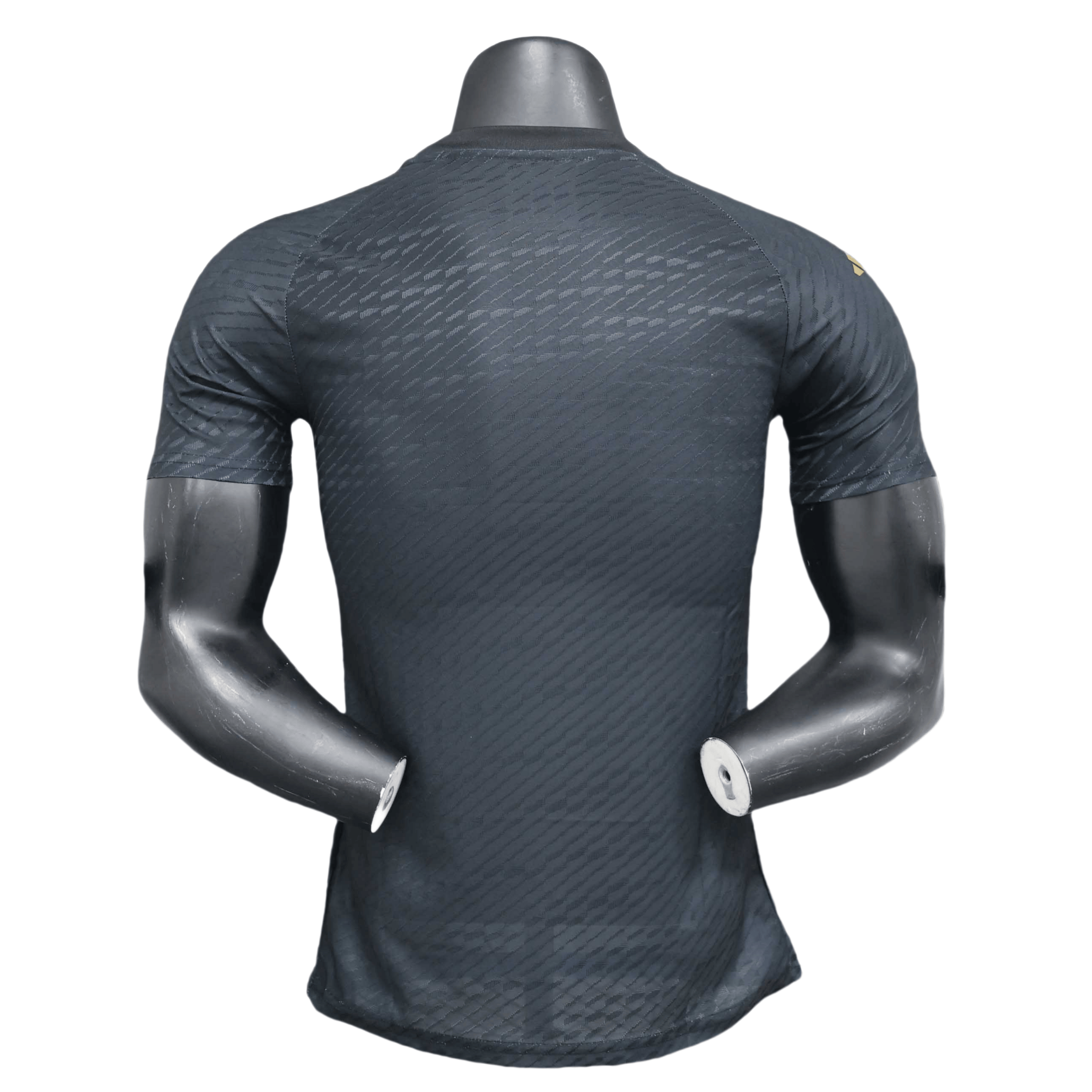 2024 Player Argentina Special Edition Soccer Jersey