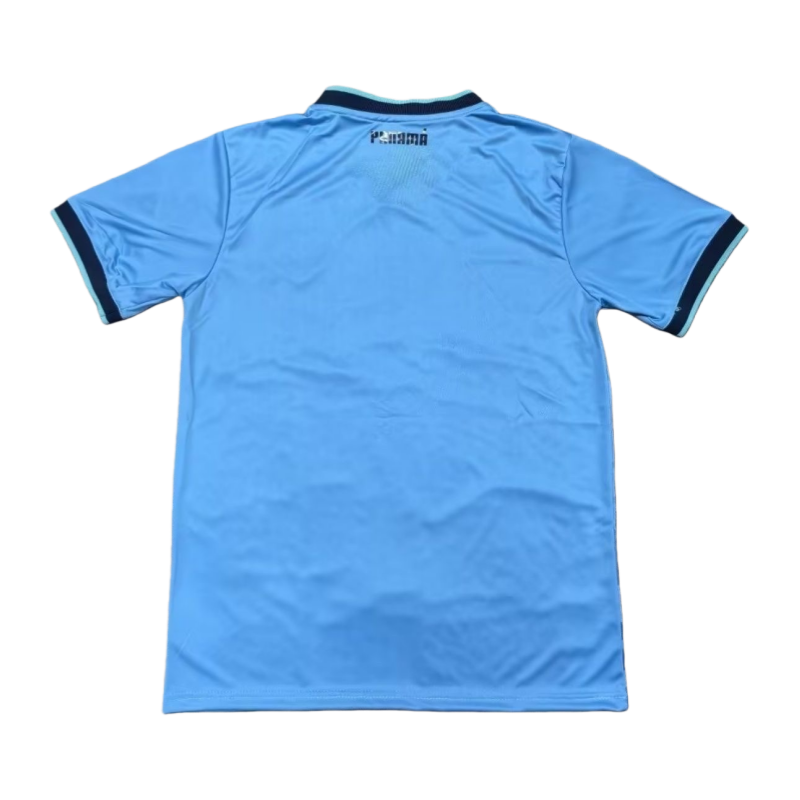 25-26 Panama team second Away Football jersey Fan edition
