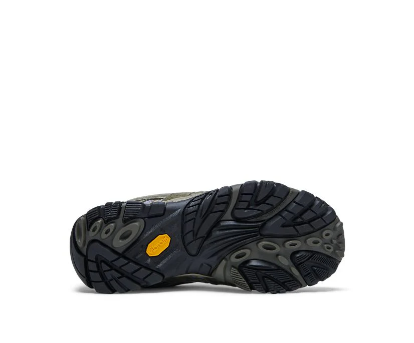 Women's Moab 2 Waterproof Shoe