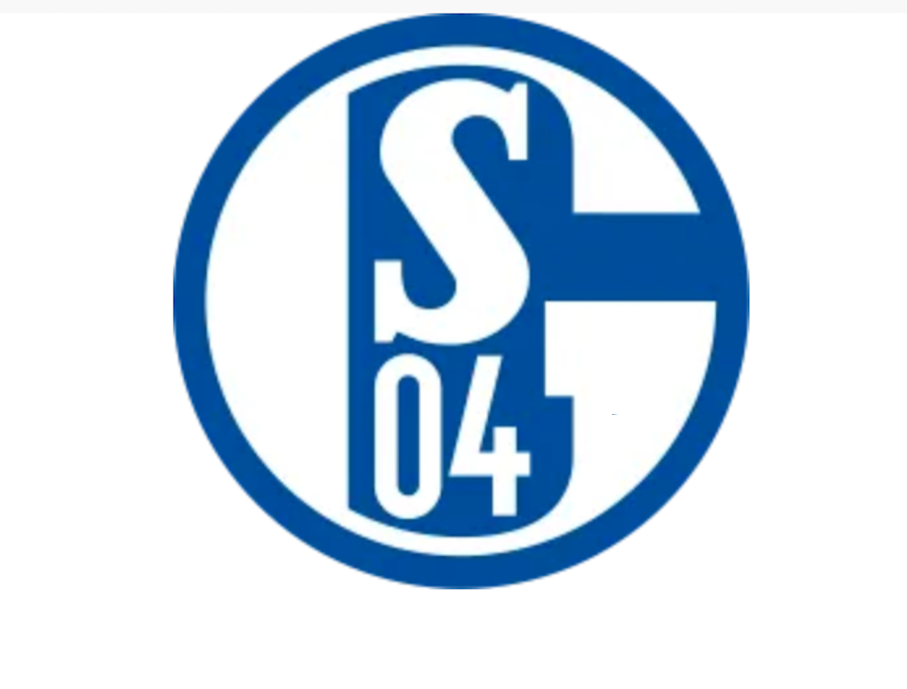 schalke 04