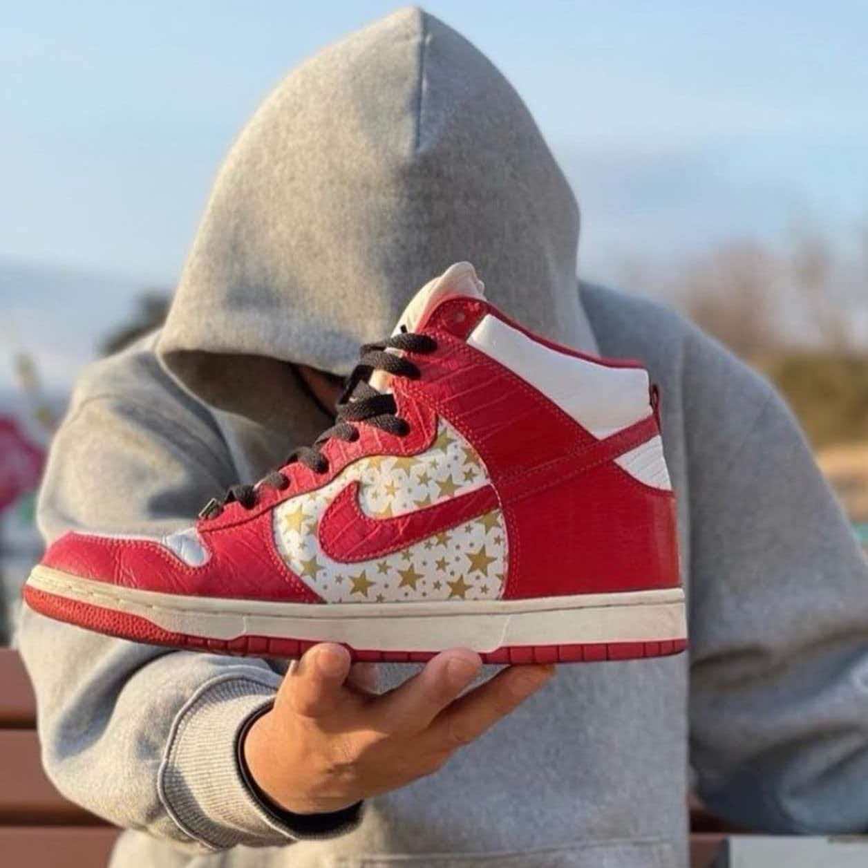 Supreme × Nike SB Dunk High Pro 
