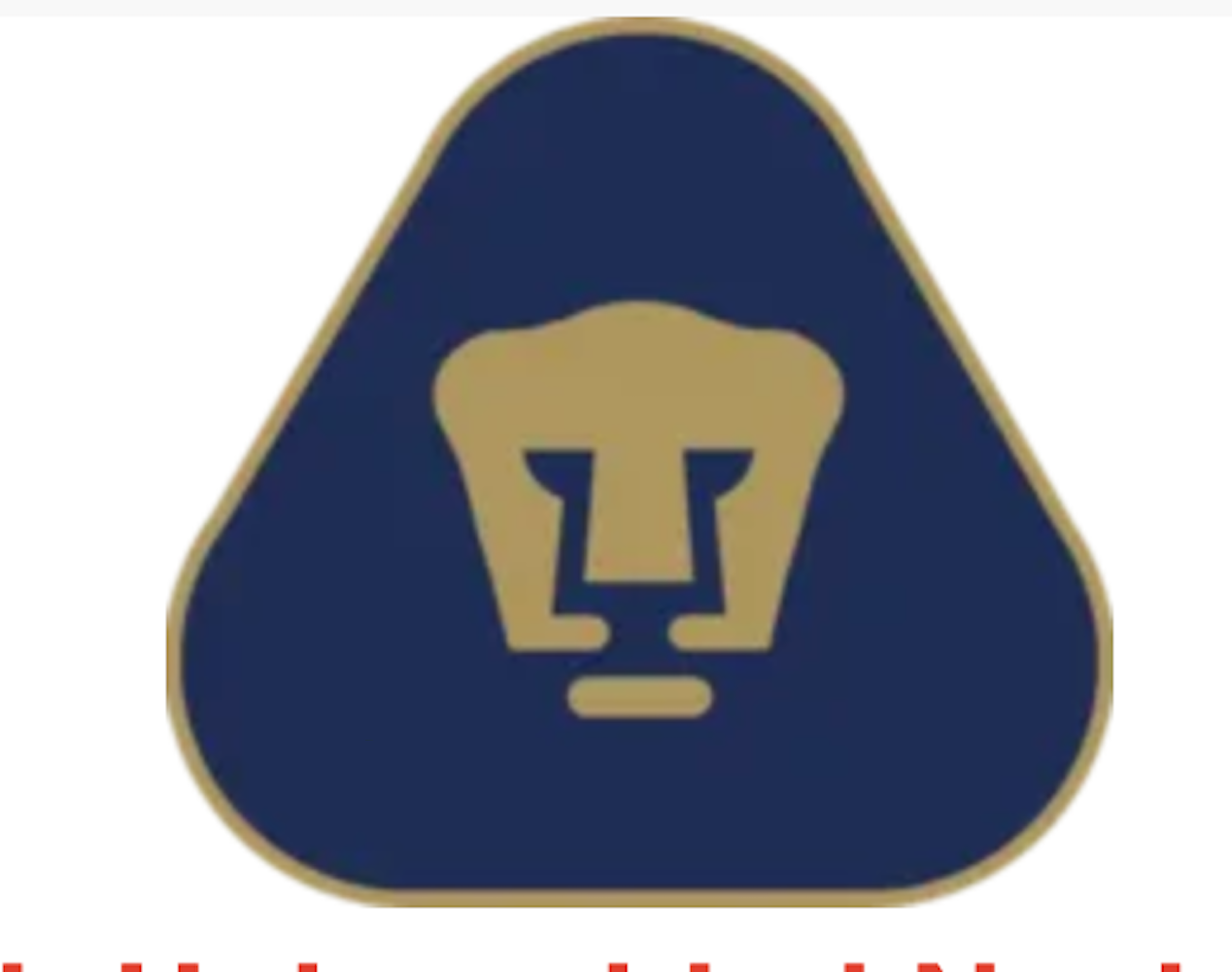 Pumas Unal