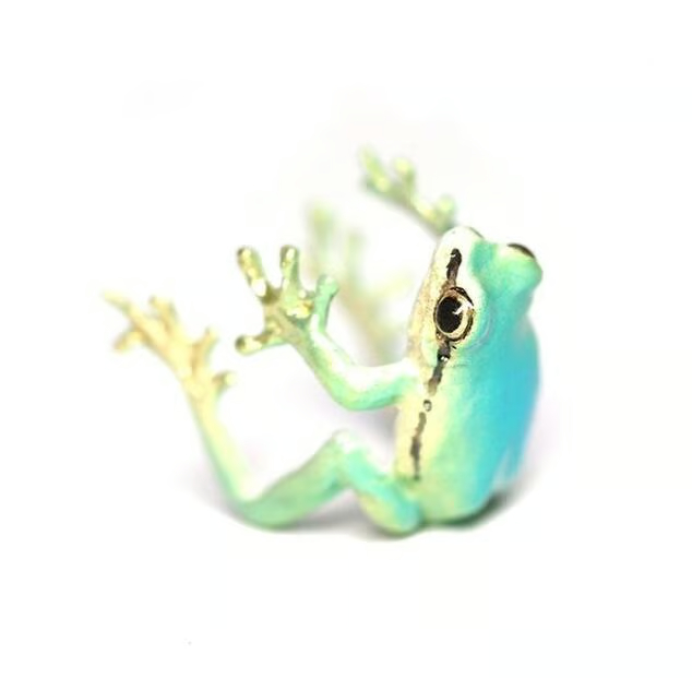 🐸Tree Frog Ring & Earrings
