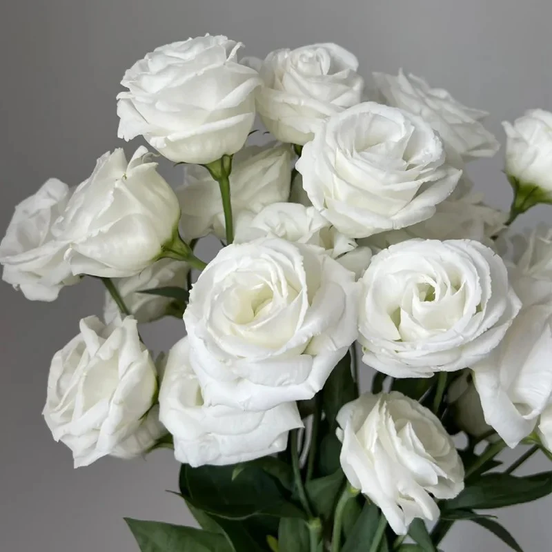 🔥Best-Selling Premium Lisianthus Seeds — Grow Elegant Blooms That Last Longer