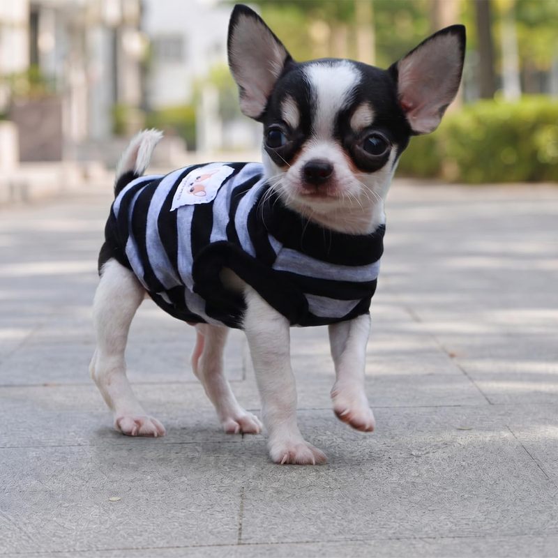 Puppy Luxury Wardrobe