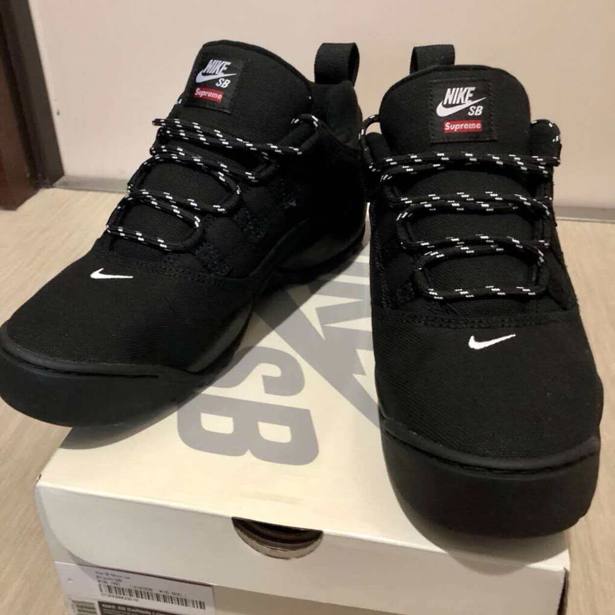 Supreme × Nike SB Air Darwin Low