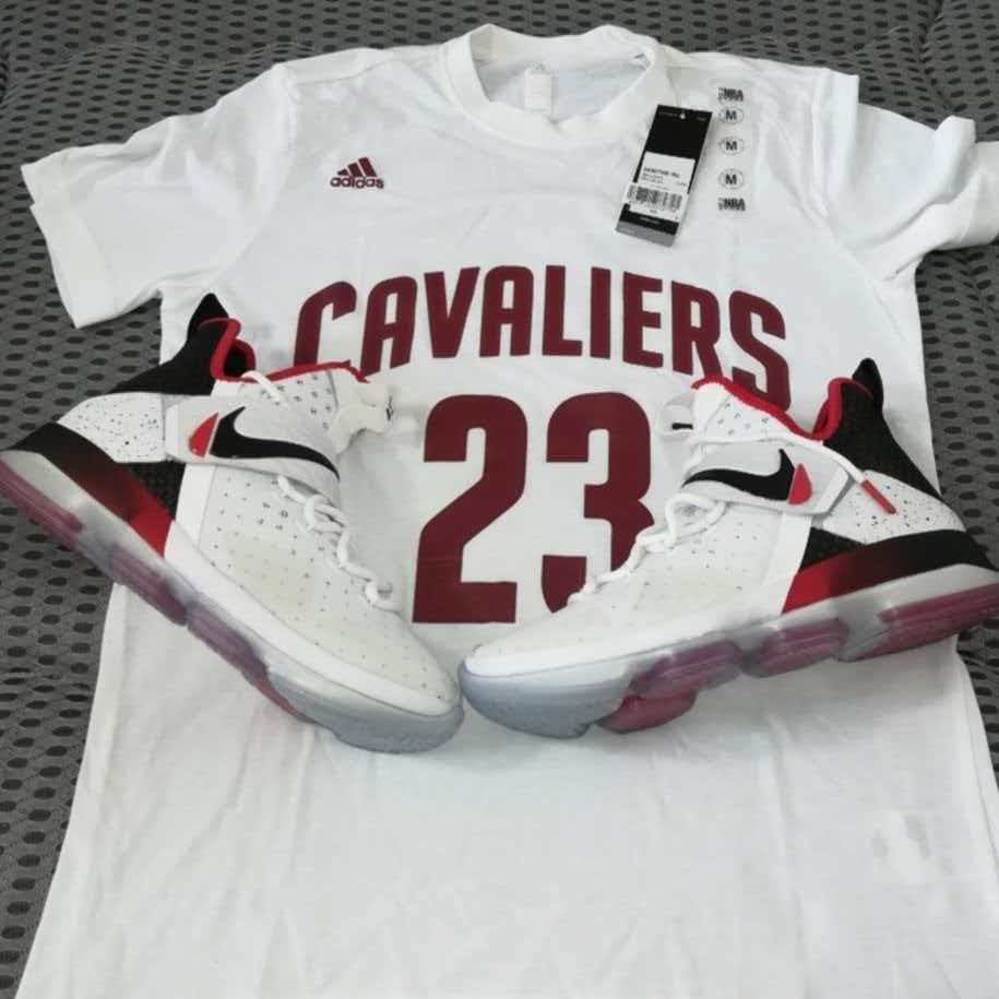 LeBron 14