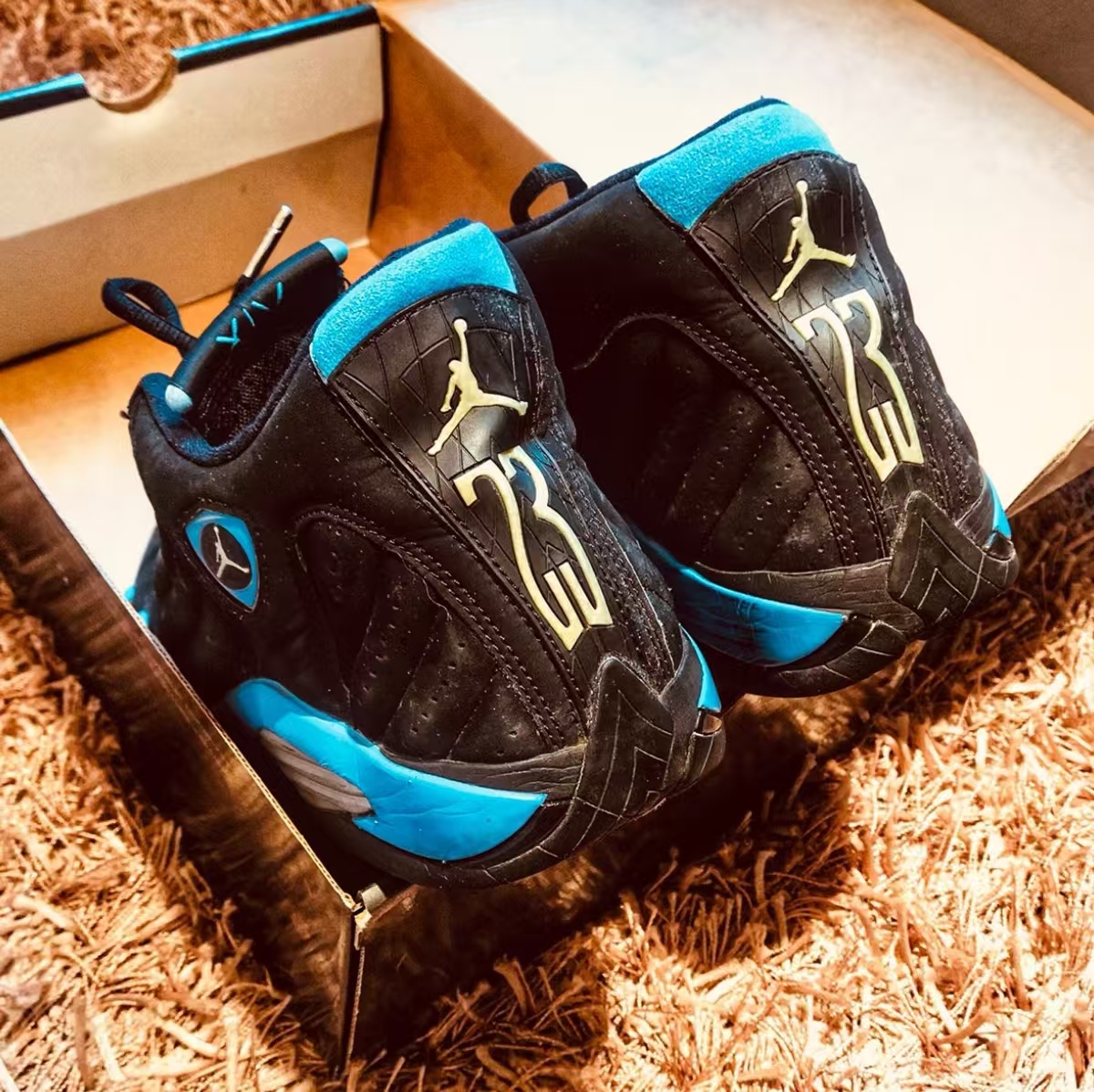 Air Jordan 14