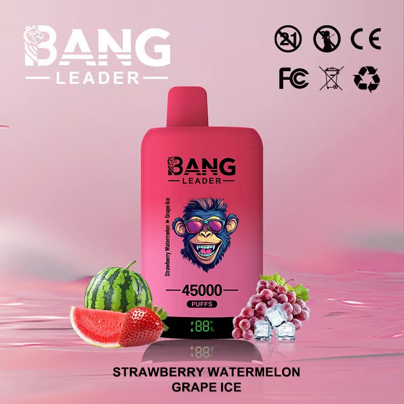 Bang Leader 45K Puffs 2-in-1 Prefilled Vape | Dual Flavor,  Rechargeable