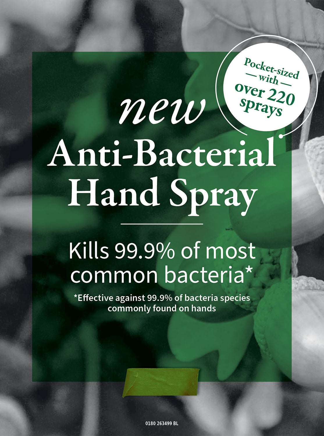 Sweet Kiwi & Starfruit