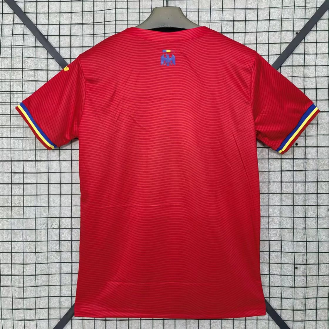 Romania Soccer Jersey Away Custom Shirt 2025/26