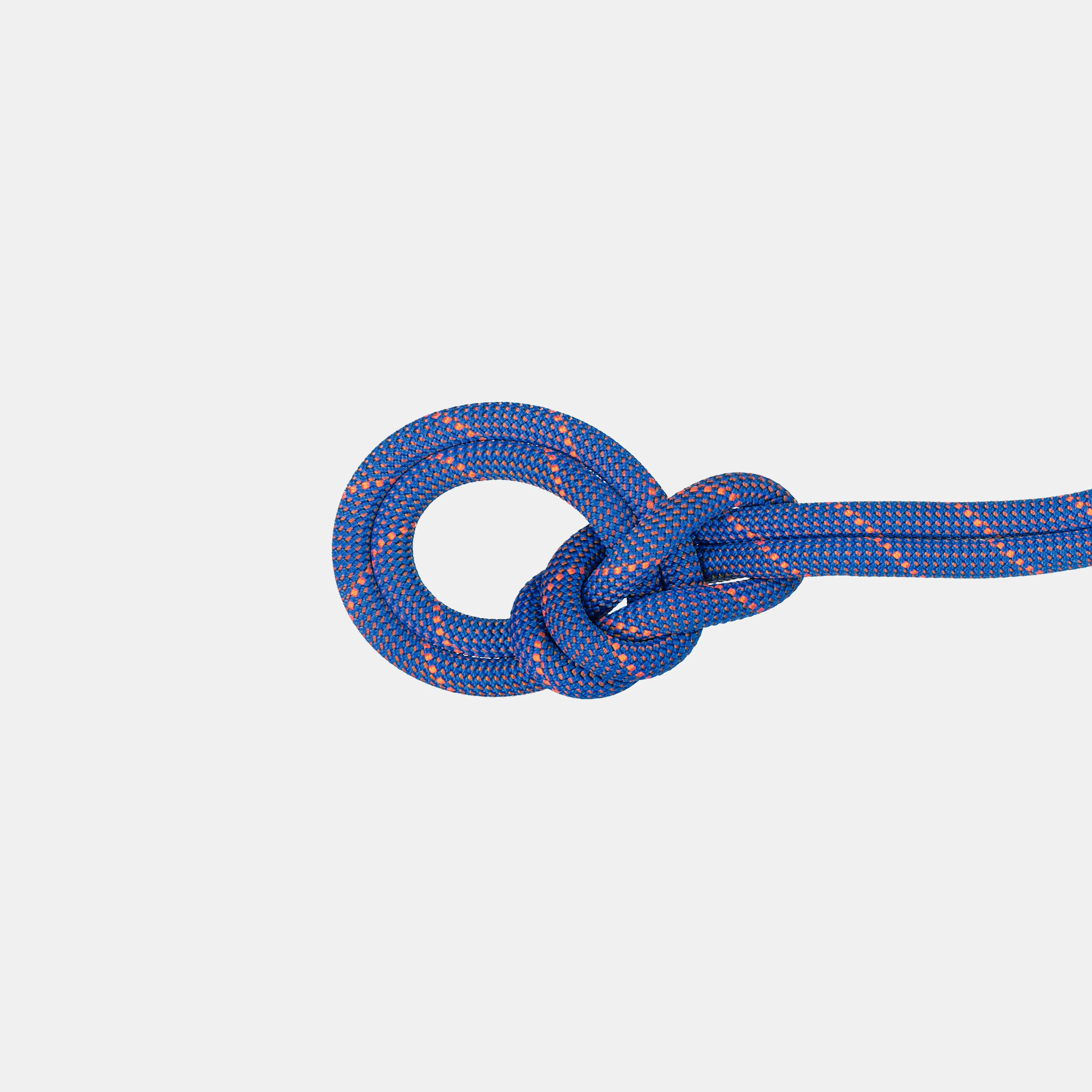 9.0 Crag Sender Dry Rope