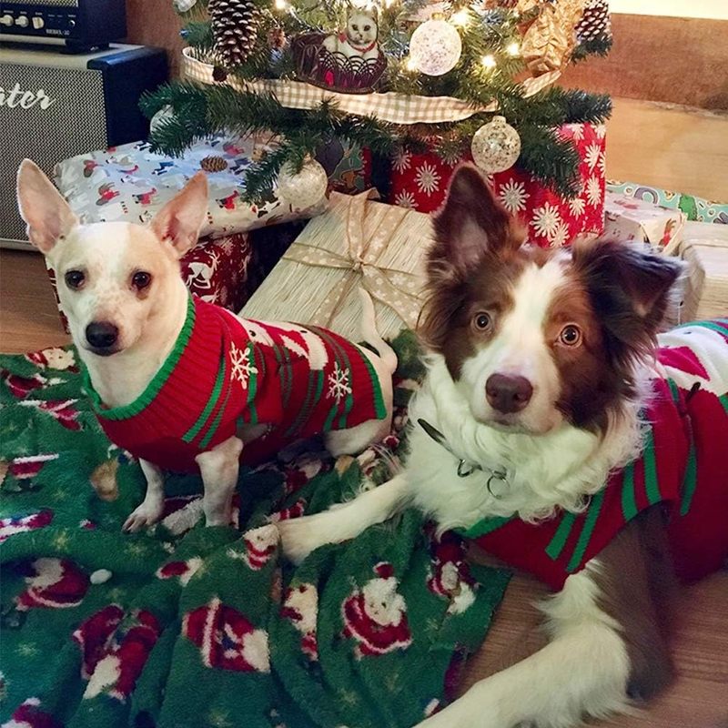 Dog Snow Sweater - Snowman Holiday Xmas Christmas Pet Clothes for Small Dog and Cat (Snowman, S)