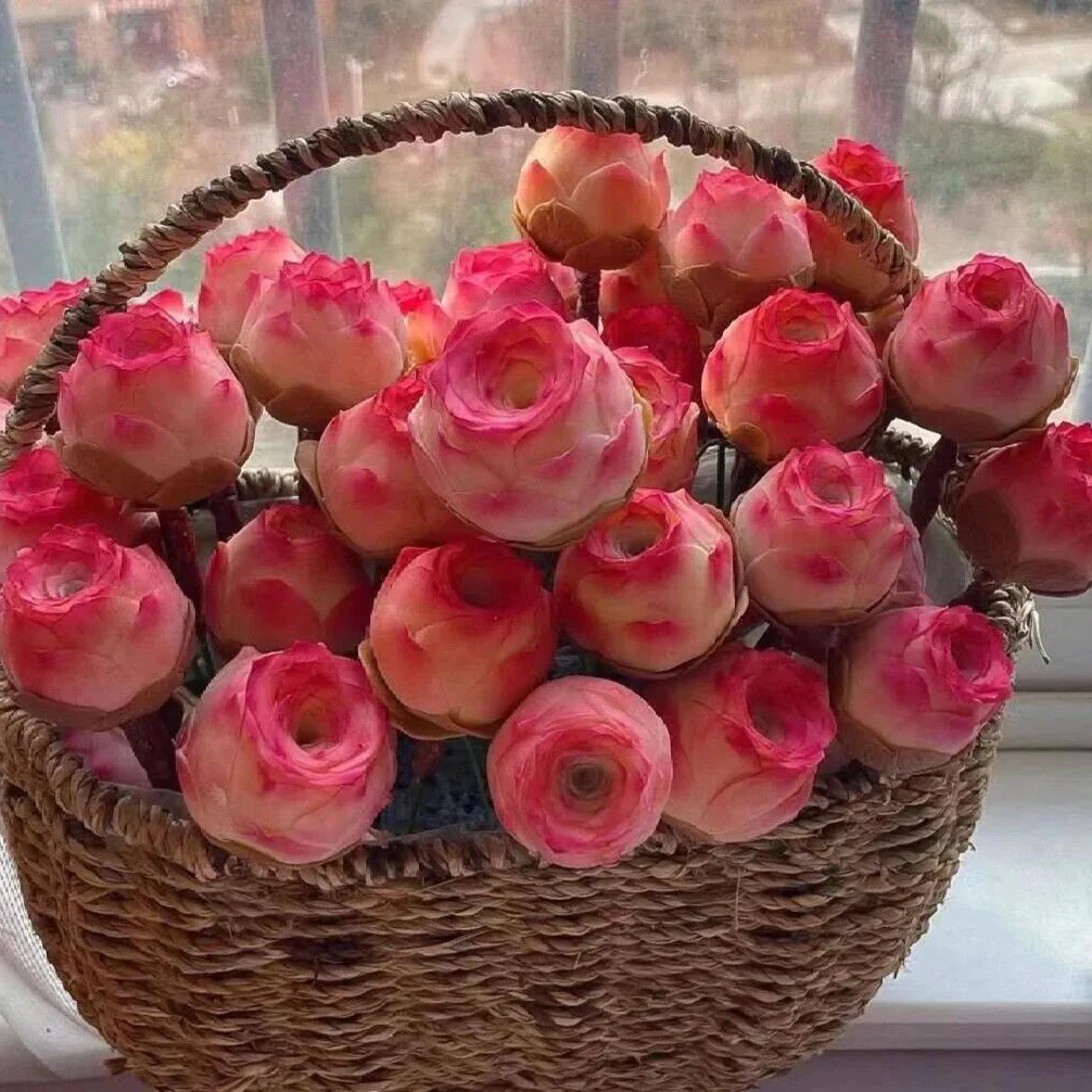 Rare Living Rock Rose Seeds – Grow Stunning “Mountain Rose”