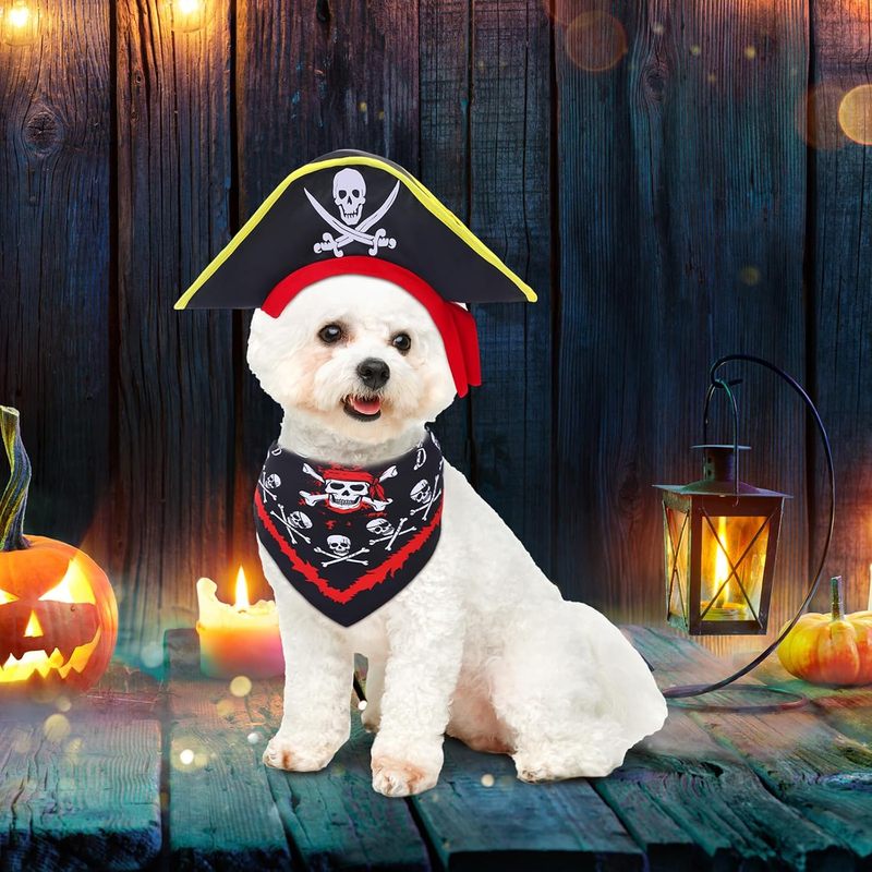 Furry Pet Outfits Collection