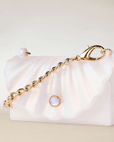 Shell Snapcase