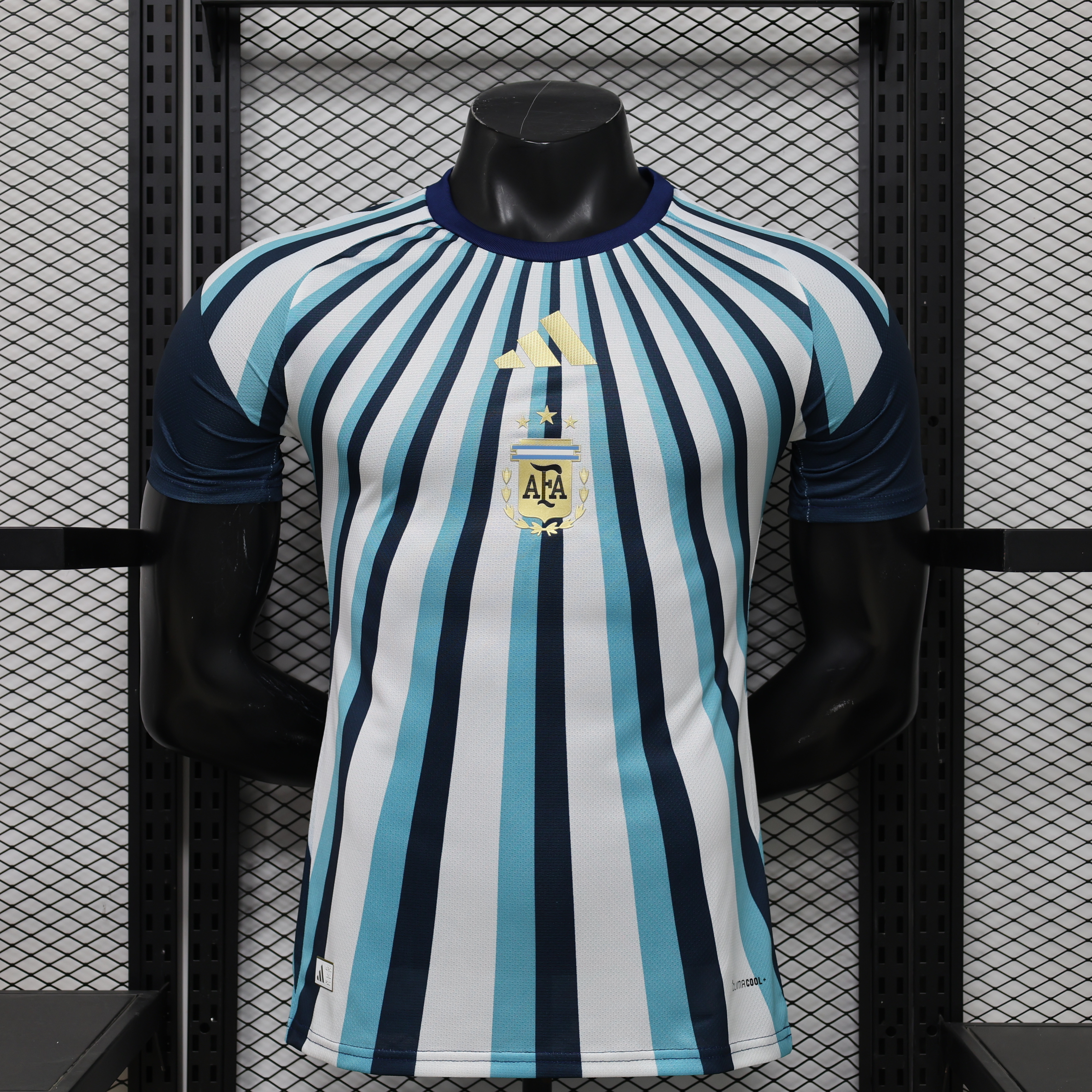 Argentina Authentic Soccer Jersey Special Edition Shirt World Cup 2026