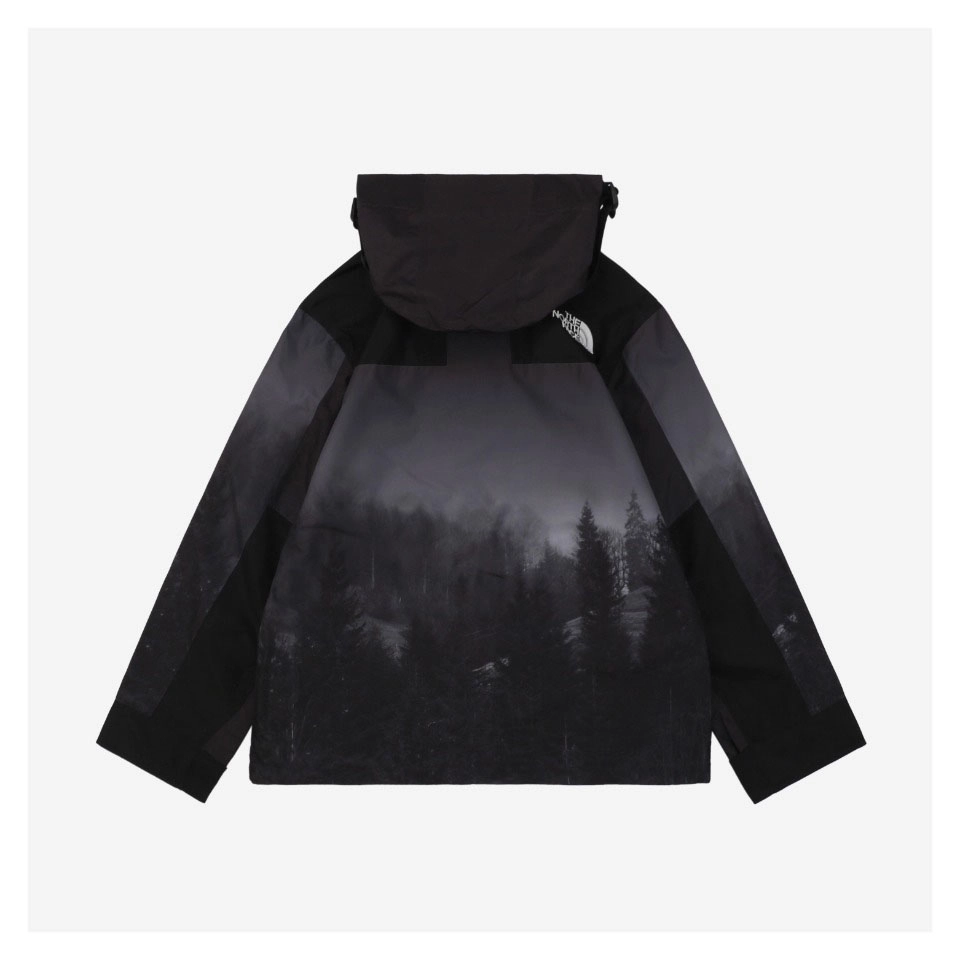 TNF Misty Forest Hooded Jacket