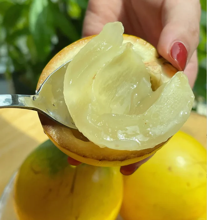Golden Fruit Seeds