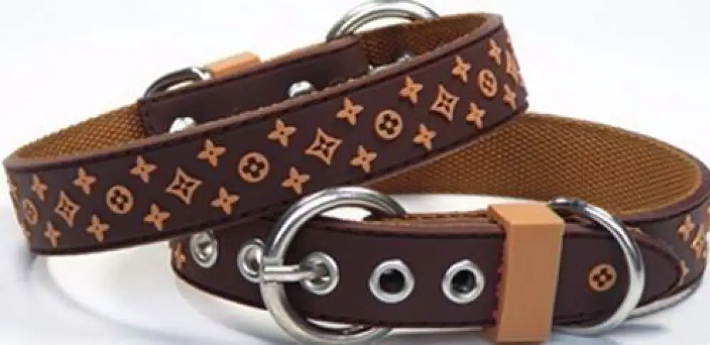 Trendy Pet Collar & Lead